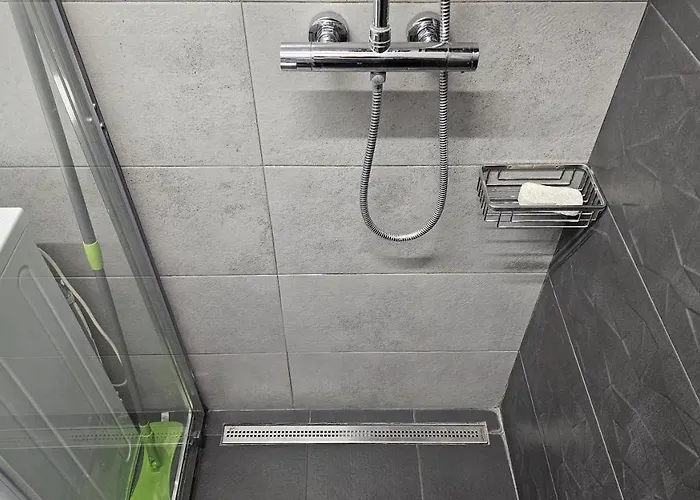 Like Elisabeta 부쿠레슈티